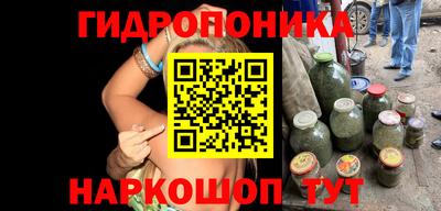 прущие крисы Анжеро-Судженск