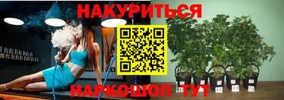 прущие крисы Анжеро-Судженск