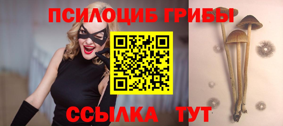Псилоцибиновые грибы ЛСД  где купить наркотик  Ленинск-Кузнецкий  Вход с VPN 