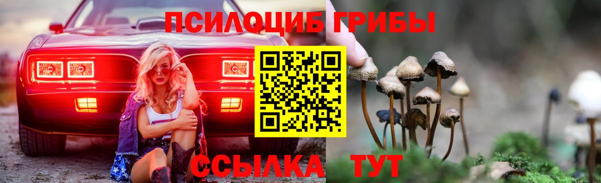 Галлюциногенные грибы GOLDEN TEACHER Ленинск-Кузнецкий